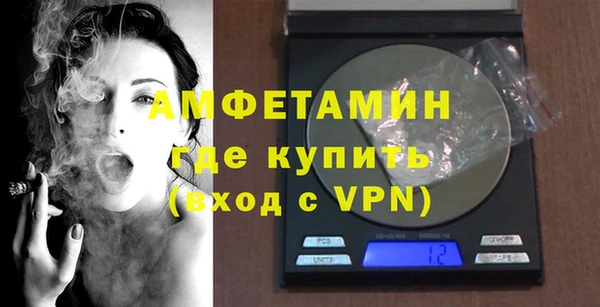 крисы Кулебаки