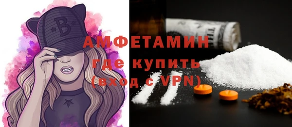 крисы Кулебаки