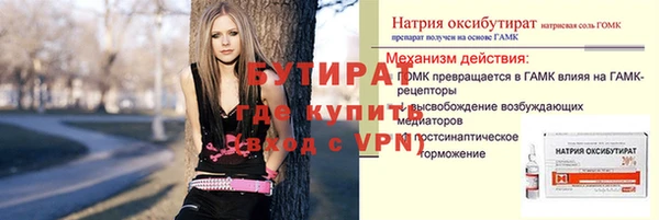 крисы Кулебаки