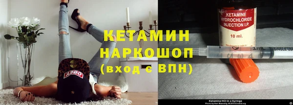 крисы Кулебаки