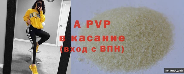 соль ск Кукмор