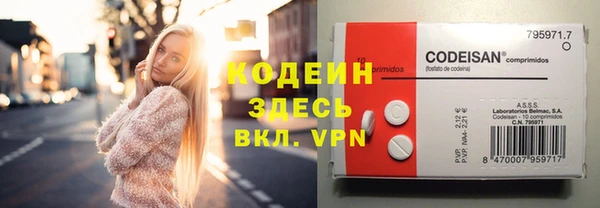 крисы Кулебаки