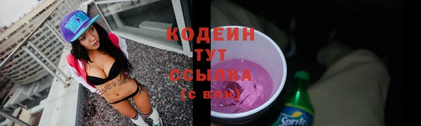 соль ск Кукмор