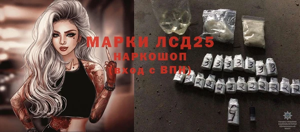 крисы Кулебаки