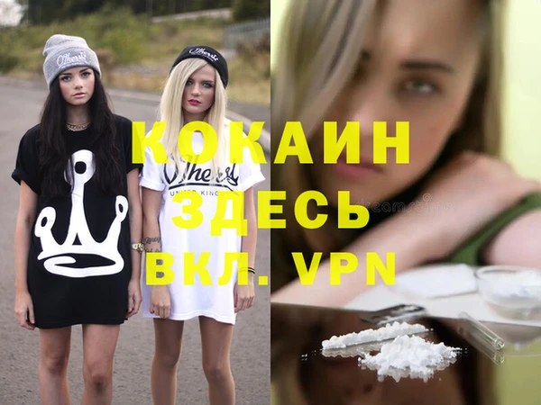 крисы Кулебаки