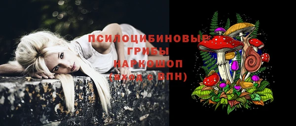 крисы Кулебаки