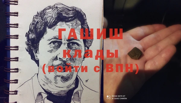 крисы Кулебаки
