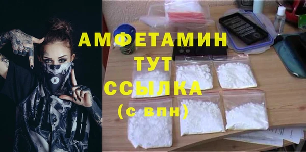 соль ск Кукмор