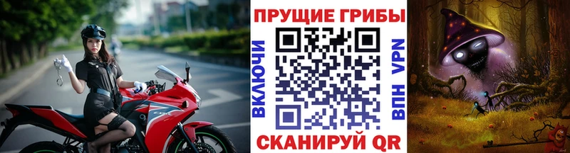 Псилоцибиновые грибы мицелий  Купить закладки  Петропавловск-Камчатский 