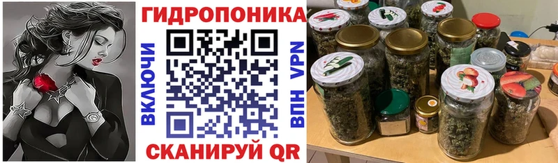 Купить где Петропавловск-Камчатский Канабис LSD WEED